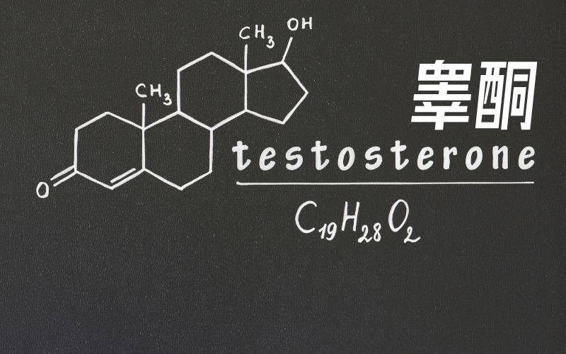 低睾酮 Low Testosterone