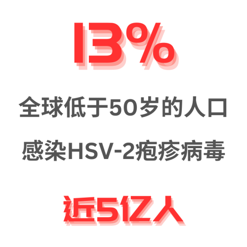 Genital Herpes Stat Illustration Chinese 500x500