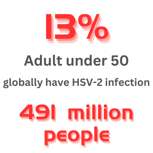 Genital Herpes Stat Illustration English 500x500